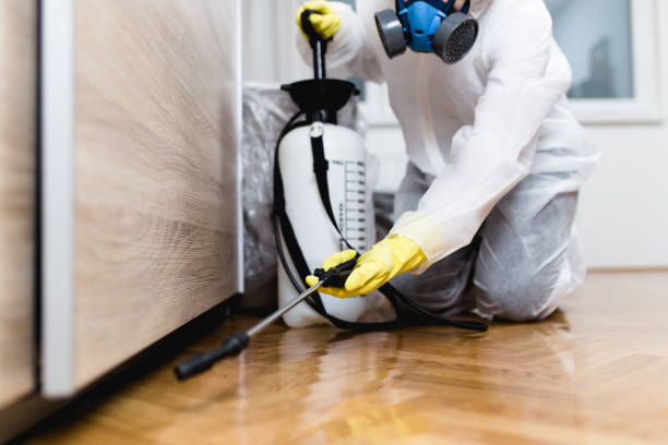 Best Pest Removal Services  in Helmetta, NJ