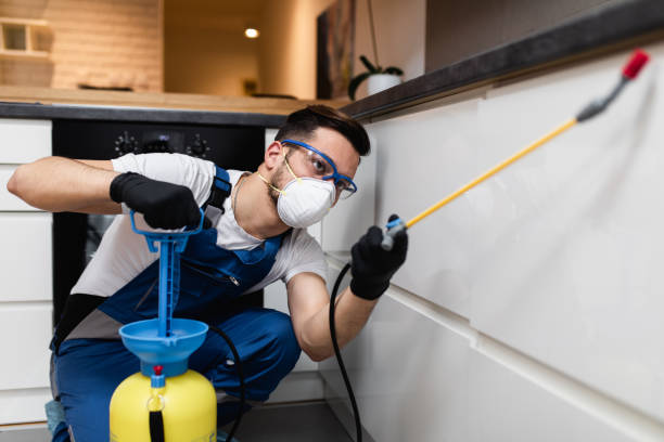 Best Wasp Removal Services  in Helmetta, NJ