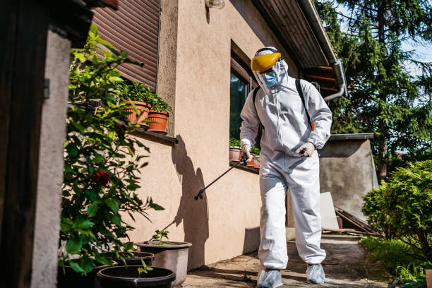 Best Termite Control Services  in Helmetta, NJ