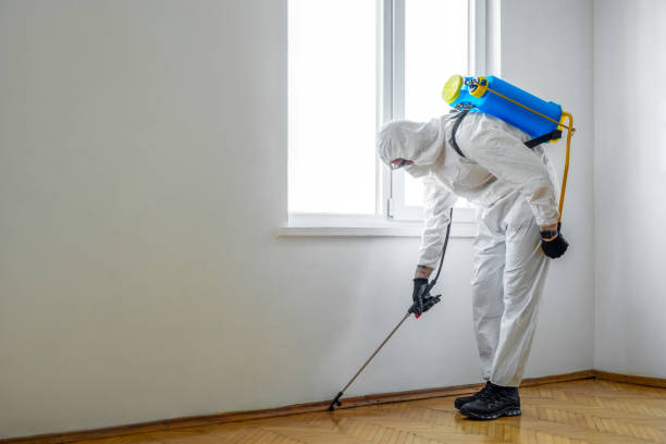 Best Wasp Removal Services  in Helmetta, NJ