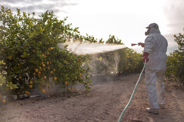 Pest Control Cost in Helmetta, NJ