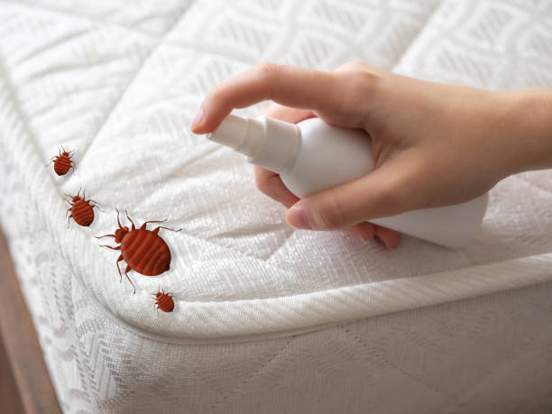 Best Bed Bug Extermination  in Helmetta, NJ