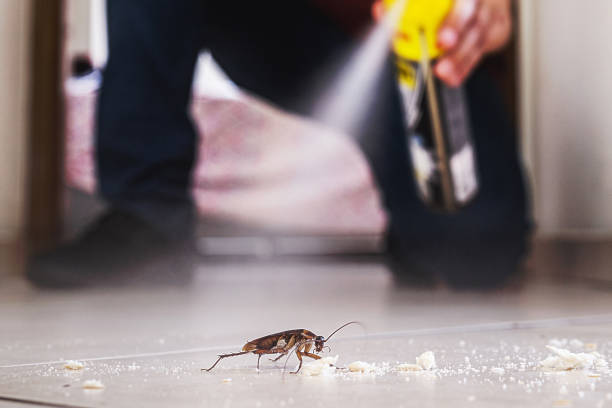 Best Residential Pest Control  in Helmetta, NJ