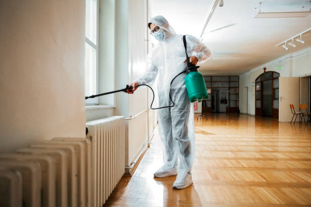 Best Best Pest Control Companies  in Helmetta, NJ
